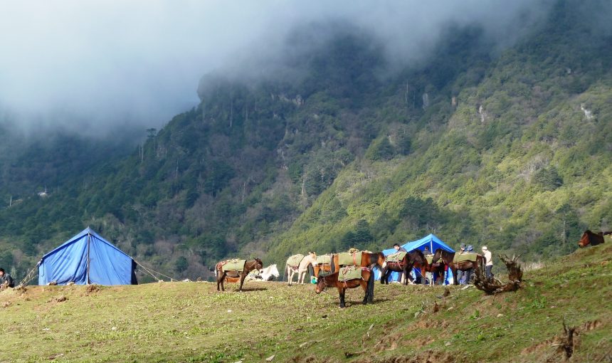 DRUK PATH TREK