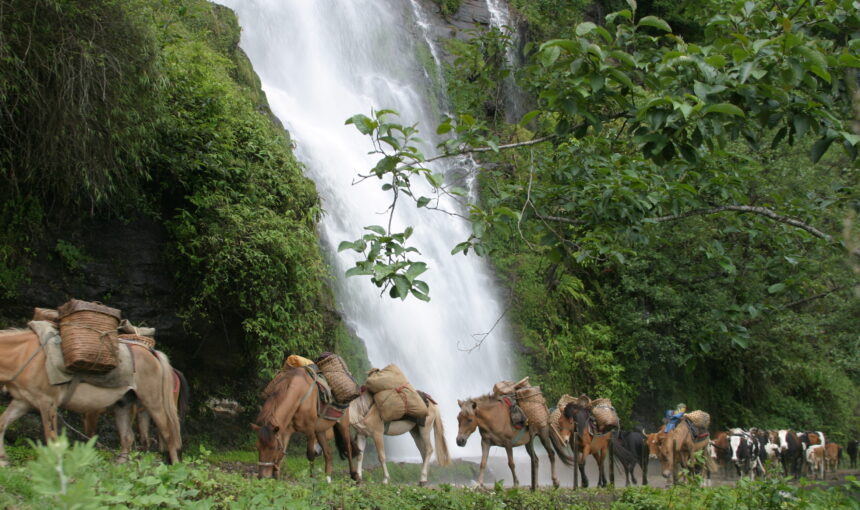 NABJI KORPHU TREK